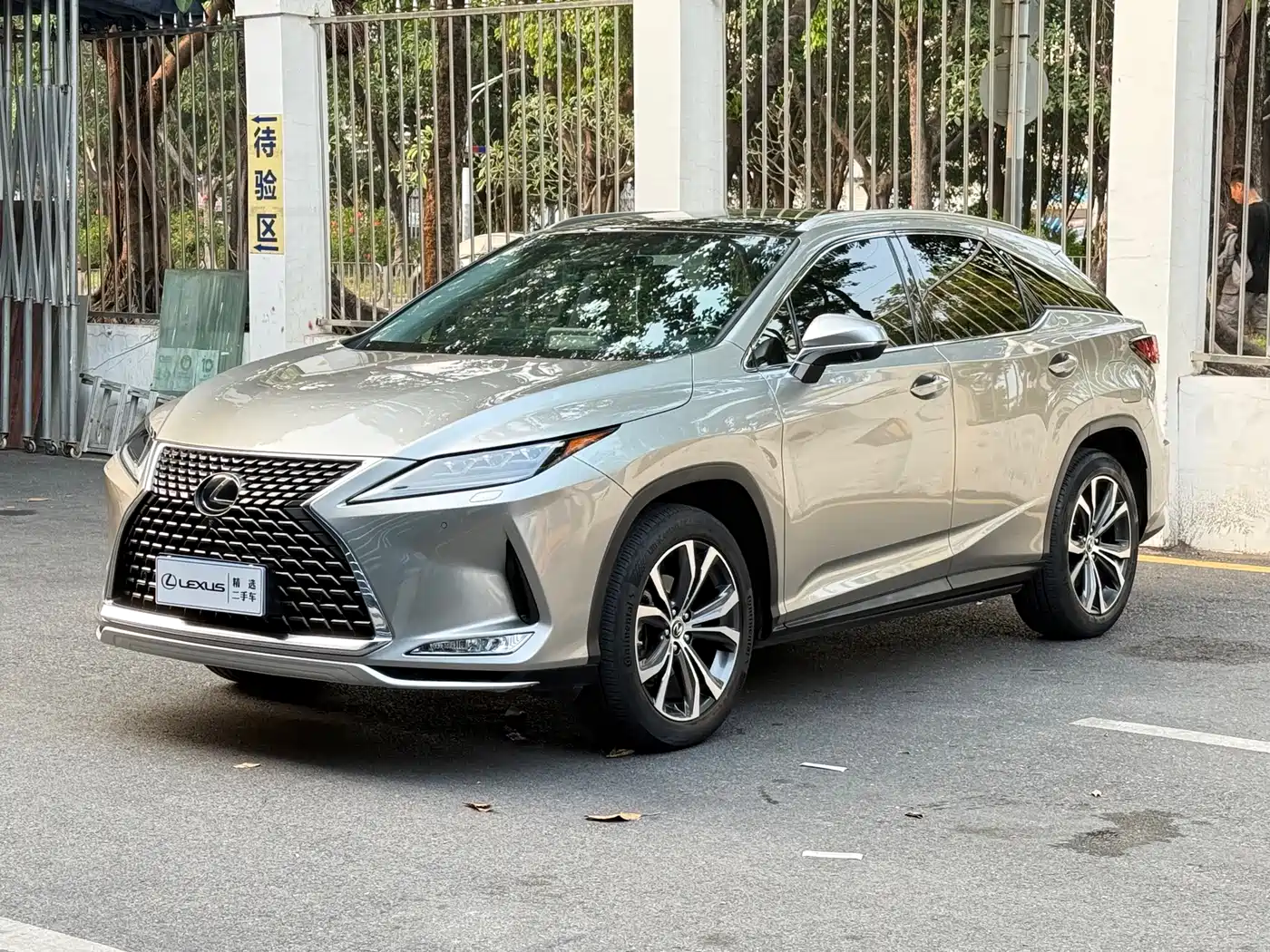 LEXUS RX