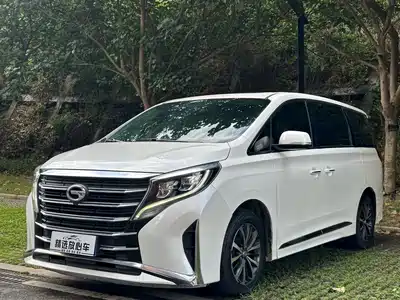 Trumpchi M8