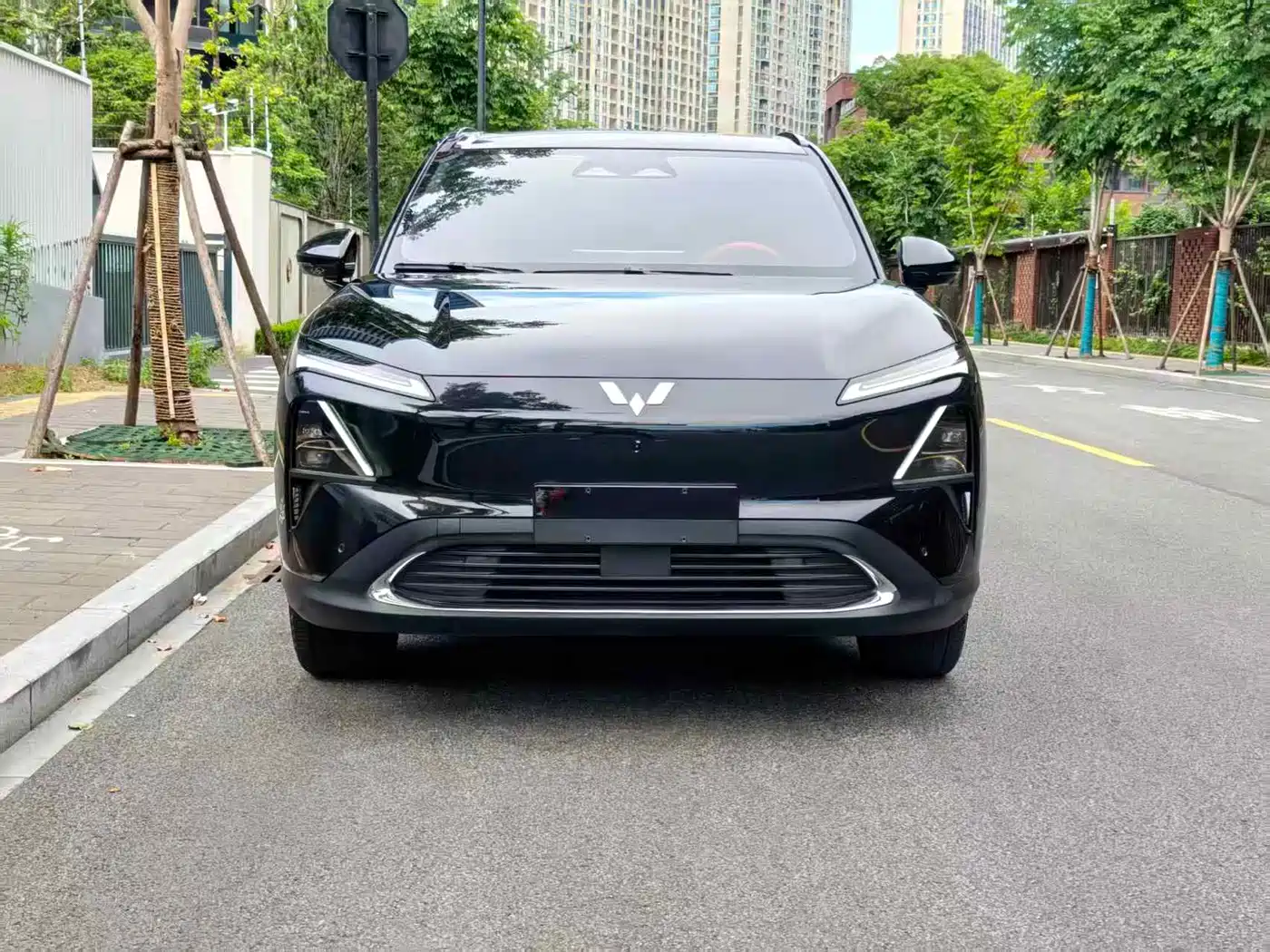 Wuling Motors Wuling Xingguang S 2025 2025 130km Flagship