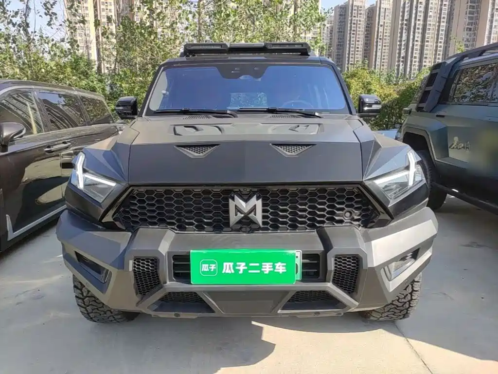 2025 Mengshi 917