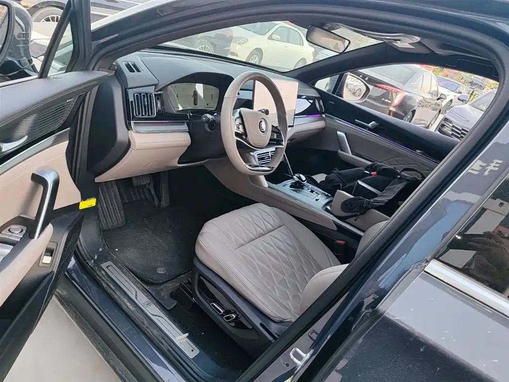BYD Tang New Energy 2024 DM-i Honor Edition 112KM Premium фото 16