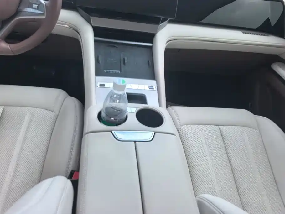 BYD Xia 2025 2025 DM-i 1.5T 100km Surpass Edition