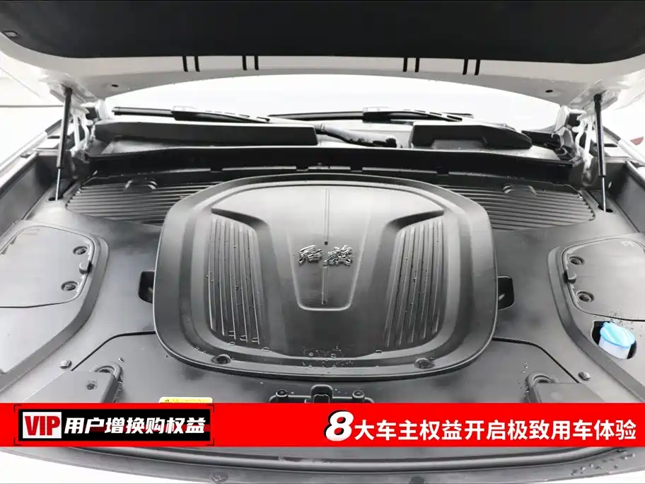 Hongqi E-HS9 2022 660km Qi Chang Edition (6-seater) фото 7
