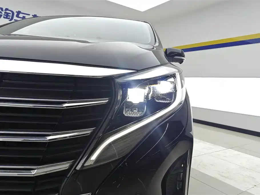 GAC Trumpchi Trumpchi M8 2021 Leading Show Series 390T Ultimate Edition фото 5