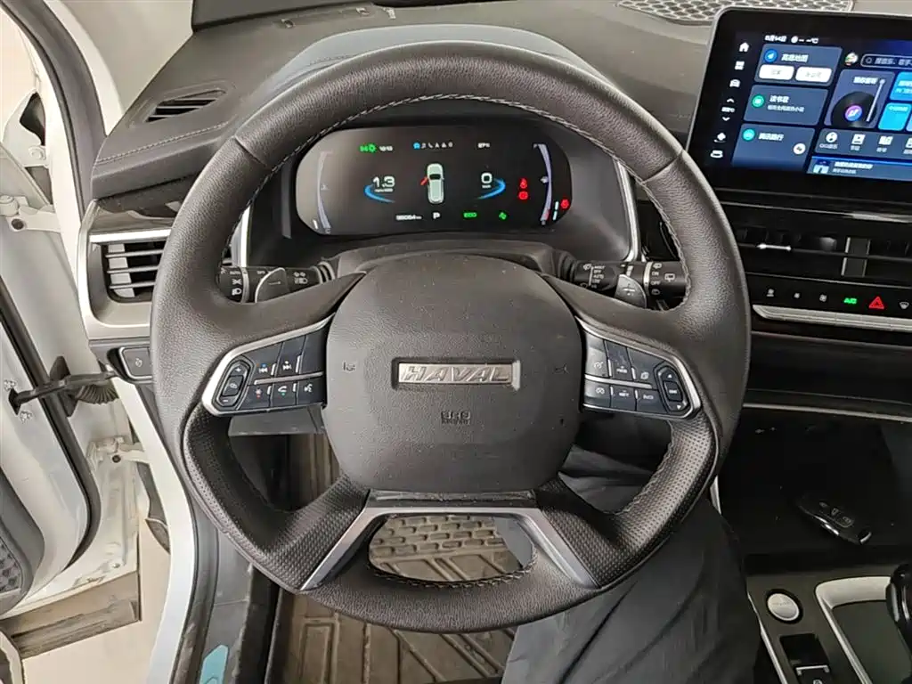 Haval H6 2023 National Trend Edition 1.5T Automatic Champion фото 11
