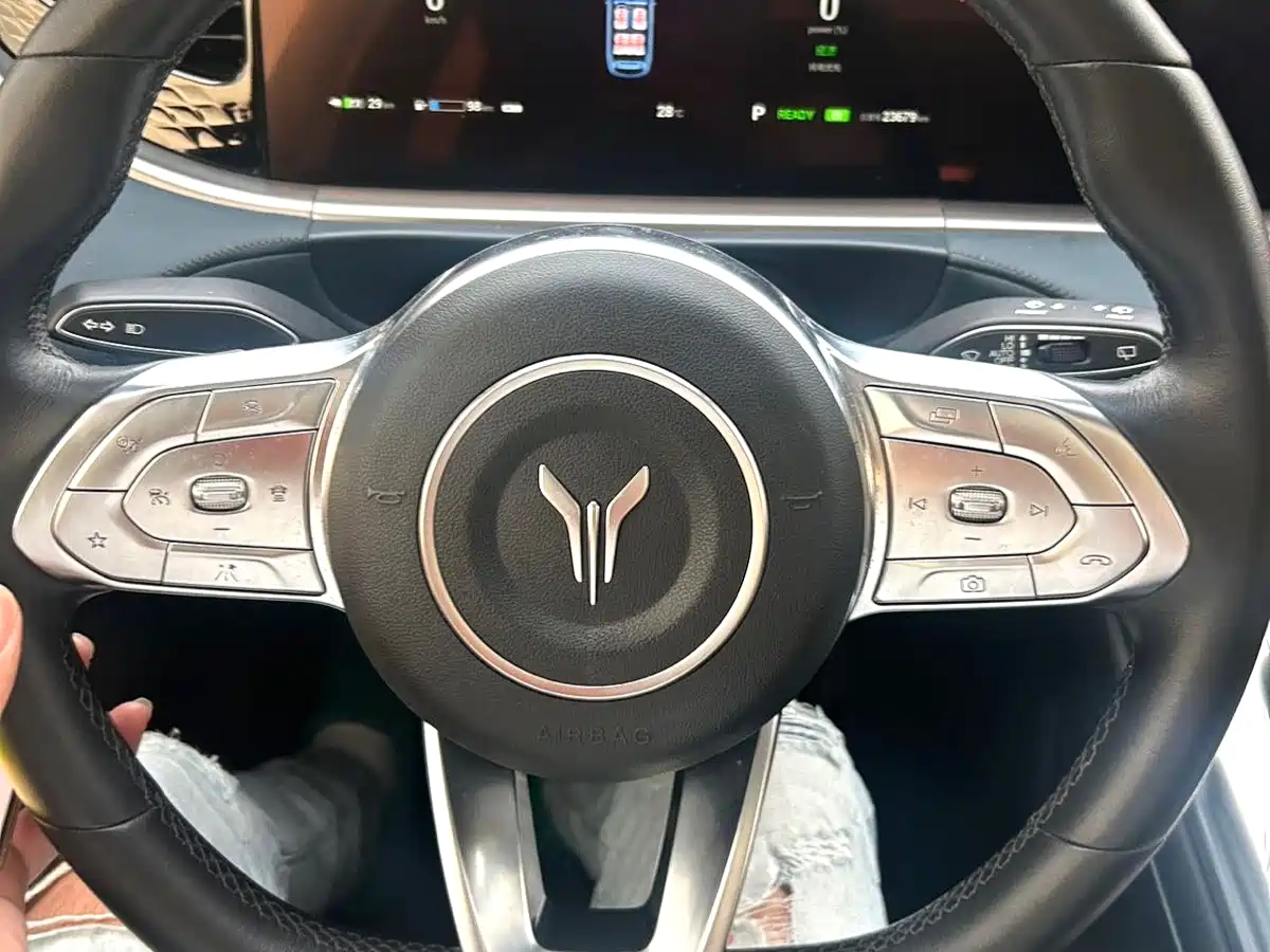 Voyah Free 2022 2021 AWD Standard Range Extender Exclusive Luxury Package