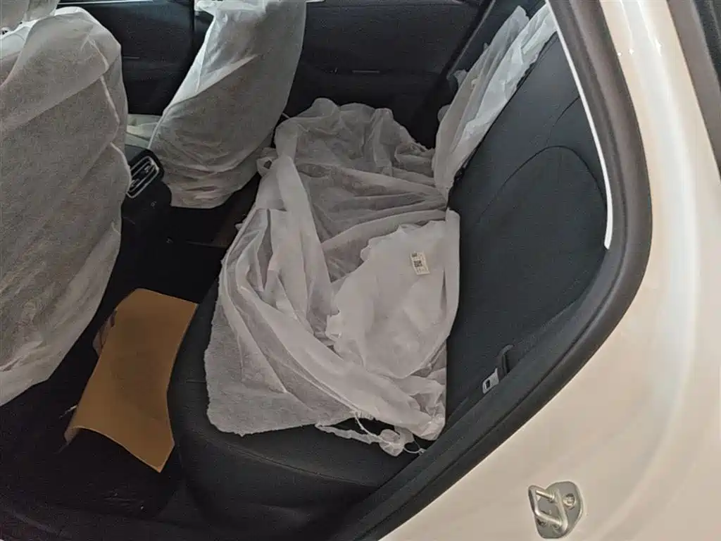 Geely Galaxy Galaxy Stellar 6 2025 60km Voyager Edition фото 17
