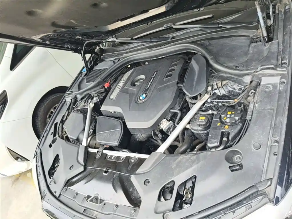 BMW 5 Series 2019 525Li M Sport Package фото 20