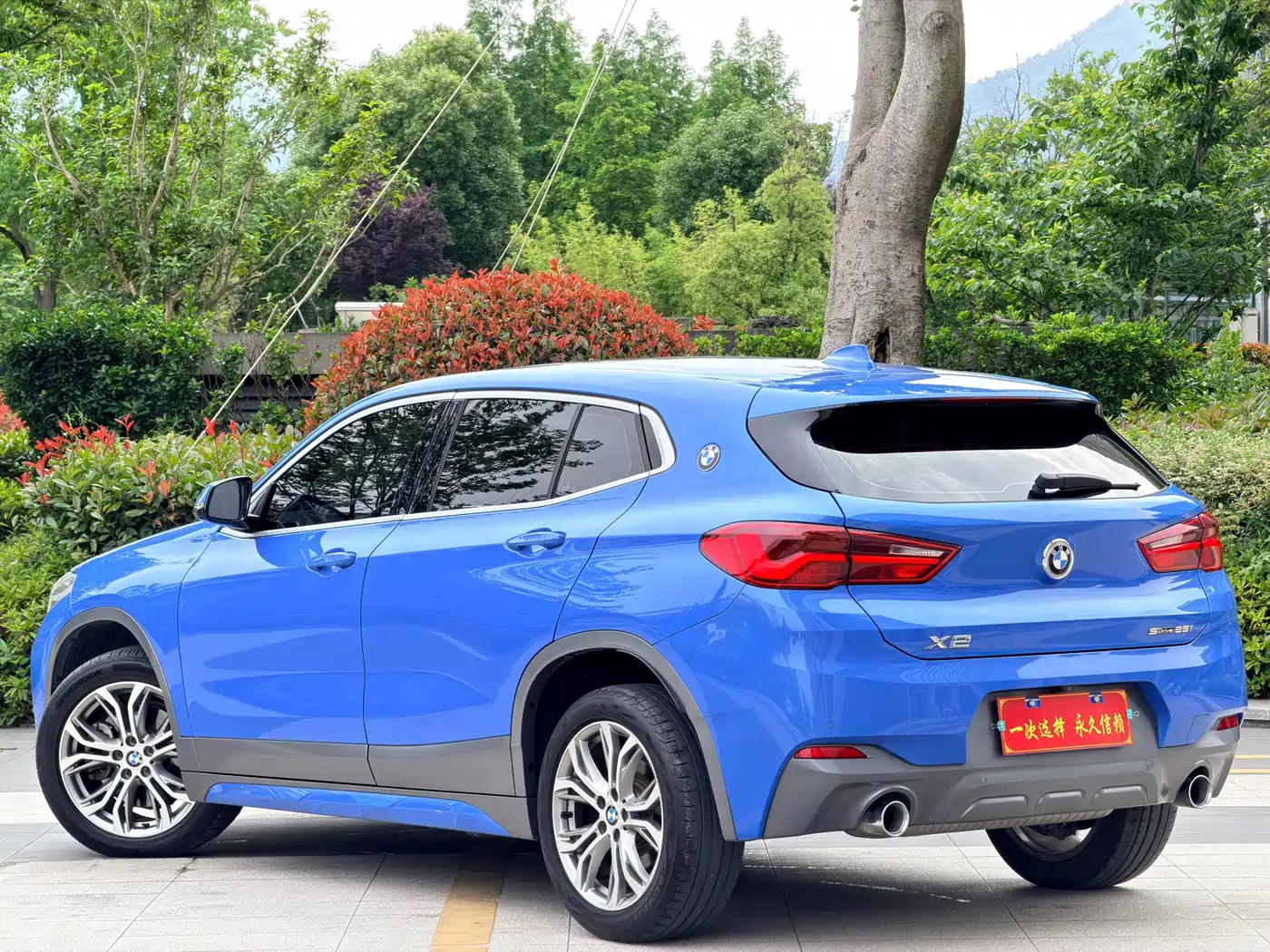 BMW X2 (Import) 2019 sDrive25i Luxury M Off-Road Package China VI фото 15