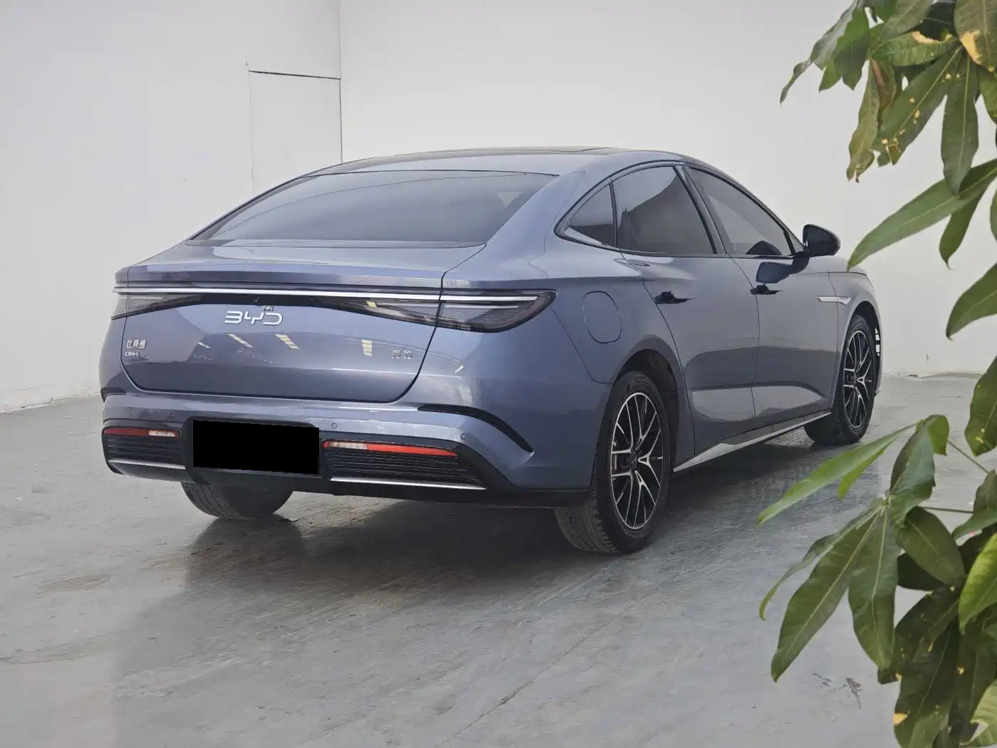 BYD Seal 2024 2023 DM-i 1.5L 121km Premium