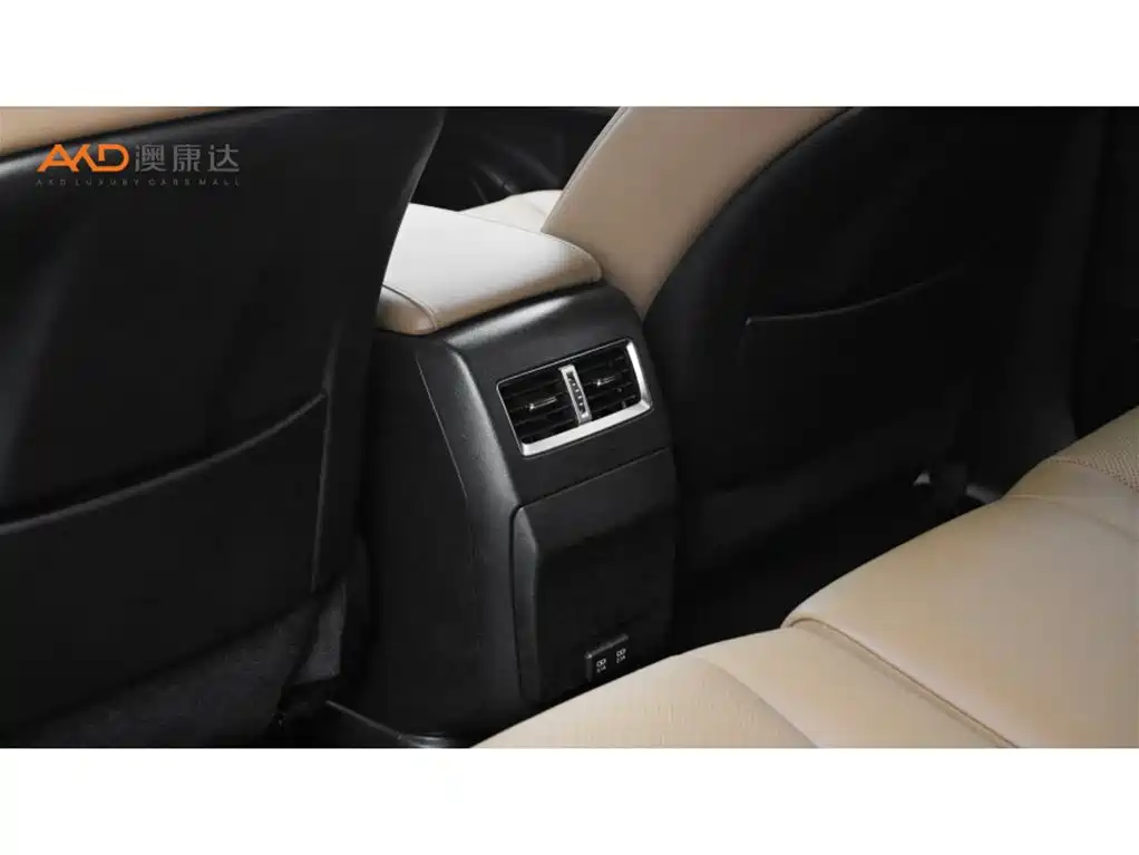 Lexus RX 2020 Facelift 300 AWD Elegance Edition фото 9