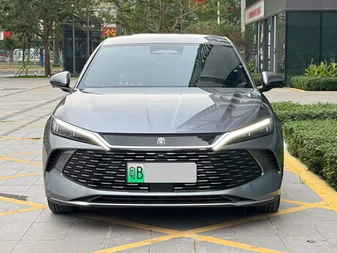 BYD Qin L 2025 DM-i Smart Drive 80KM Premium фото 2