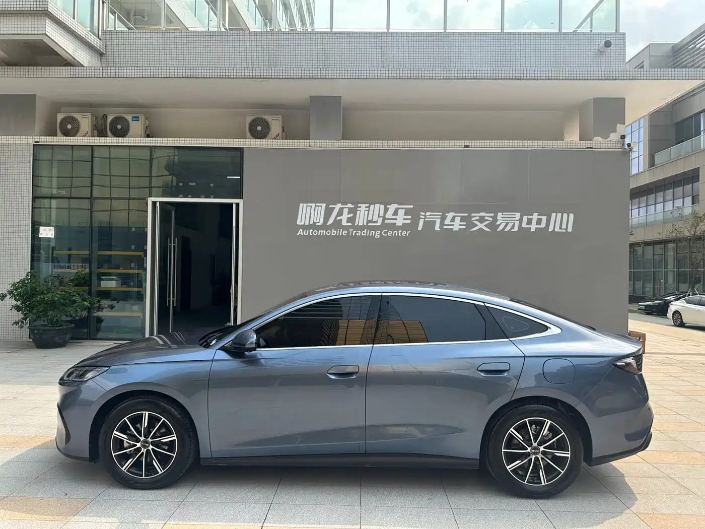 BYD Seal 06 New Energy 2024 DM-i 80KM Prestige фото 19