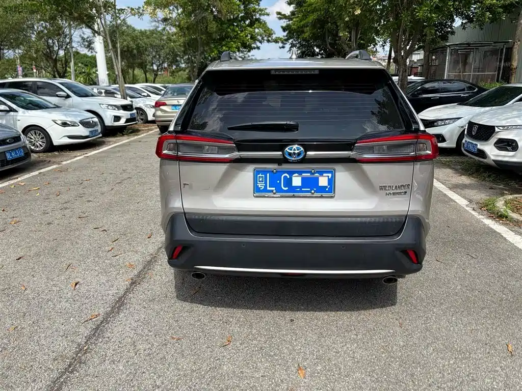 Toyota Wildlander 2022 Hybrid 2.5L E-CVT FWD Luxury Edition фото 9