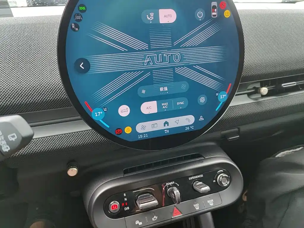 MINI Electric MINI ACEMAN 2024 2024 Model SE Artist