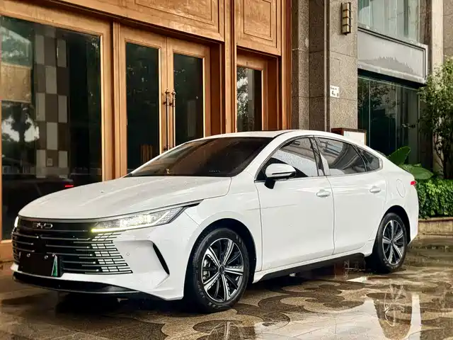 BYD Destroyer 05 2022