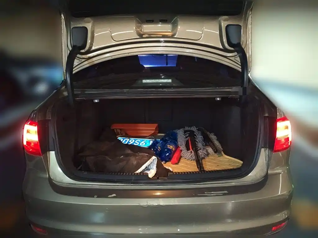 صورة 20 - Volkswagen Sagitar
