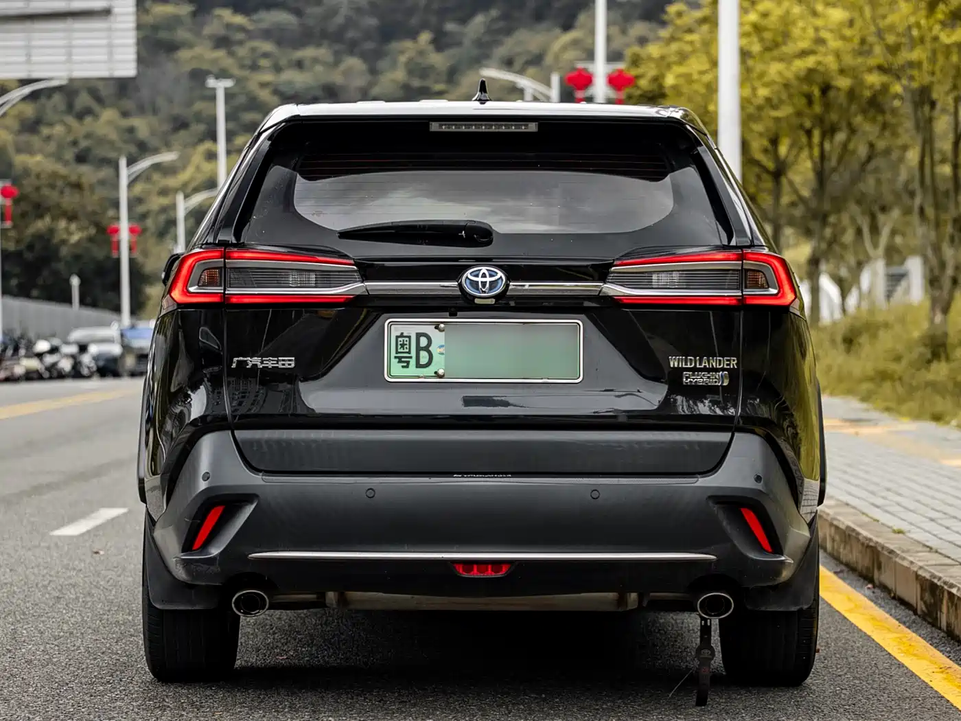 Toyota Wildlander New Energy 2021 High Performance 2.5L 2WD Power Edition фото 6