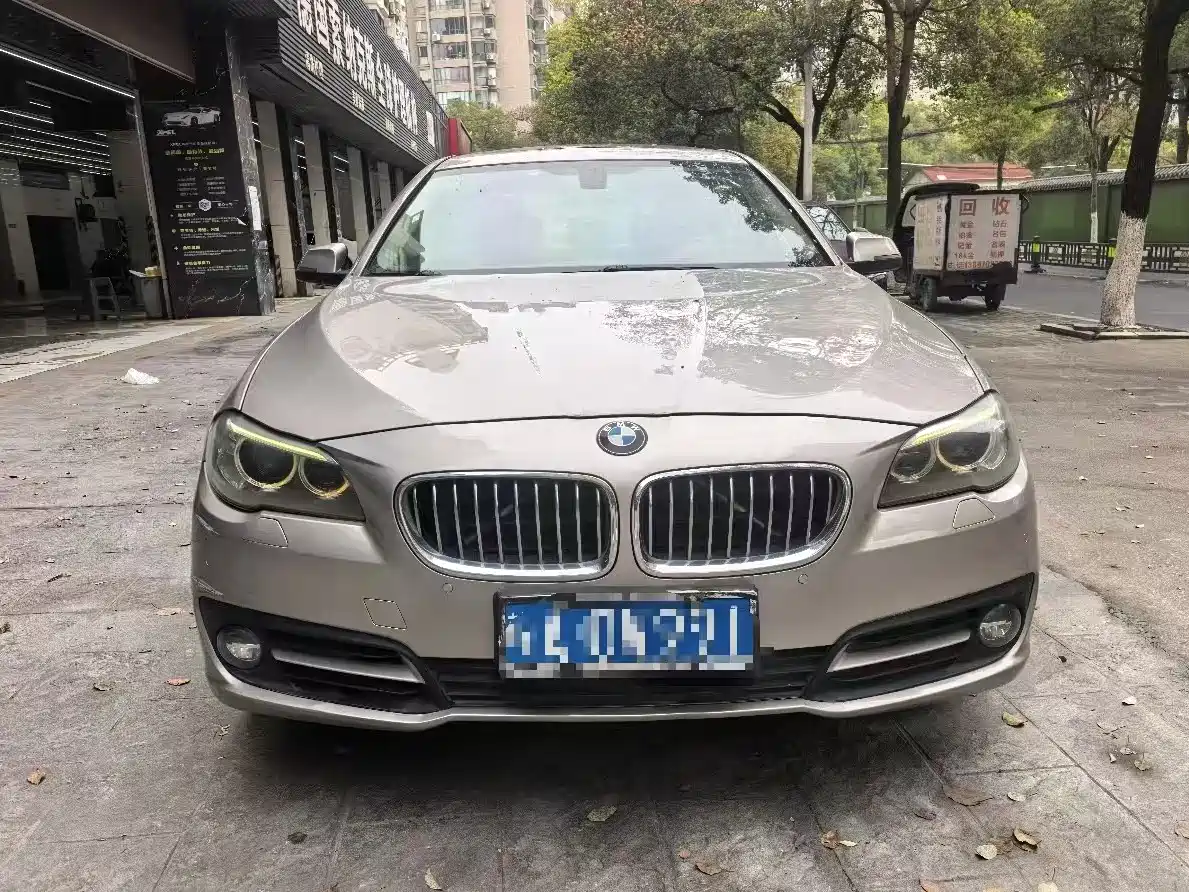 BMW 5 Series 2014 520Li Elegance фото 2