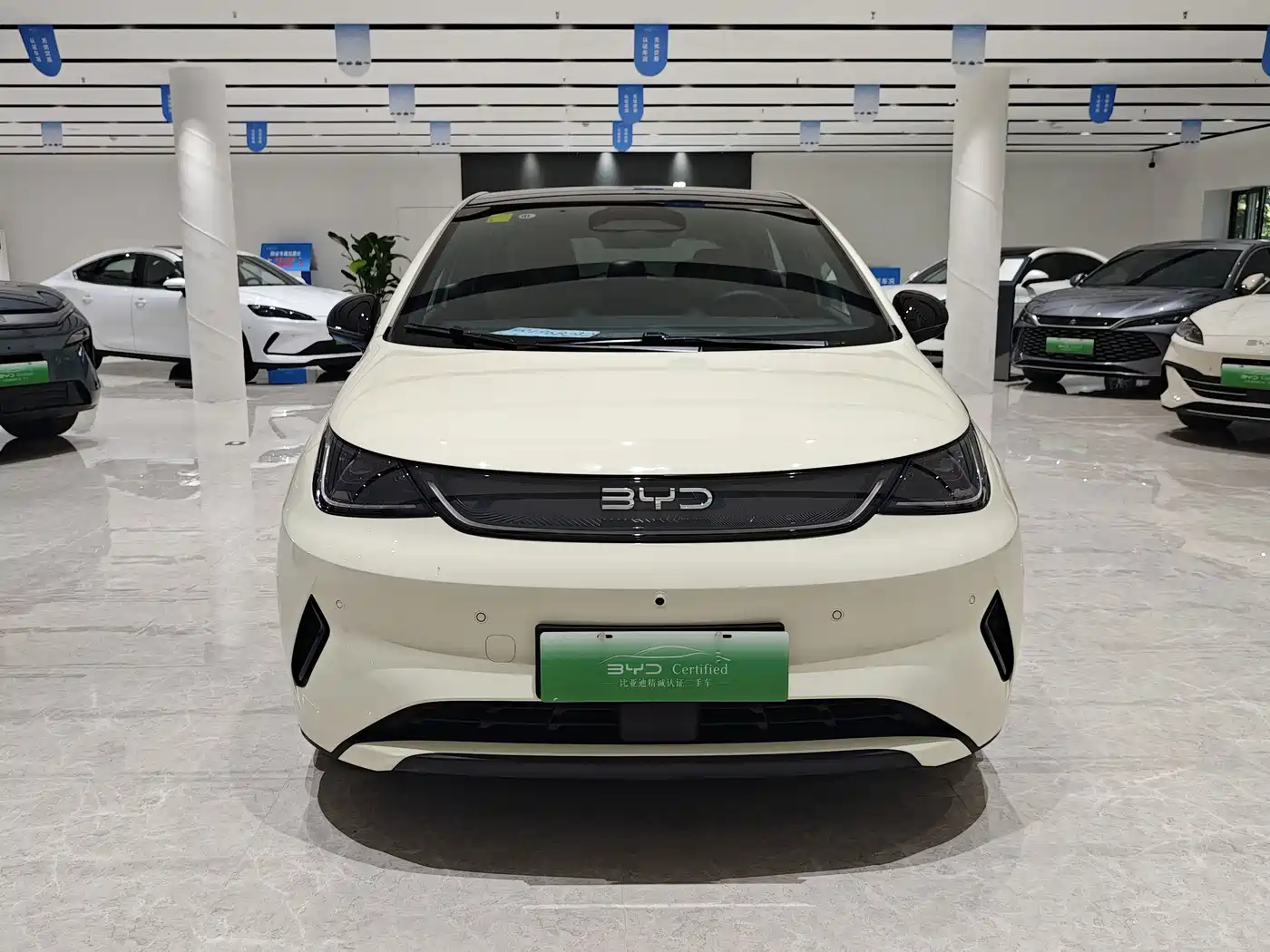 Photo 2 - BYD Dolphin