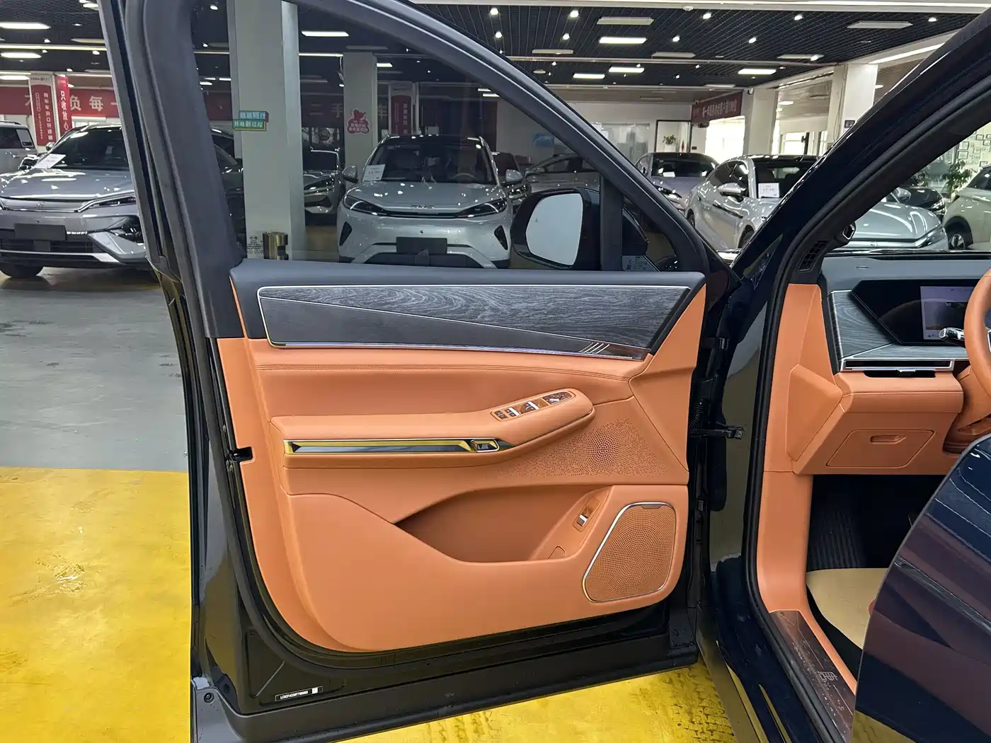 BYD Dynasty-D 2026