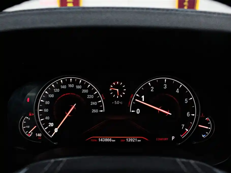 BMW 5 Series 2018 530Li Leading Luxury Package фото 6