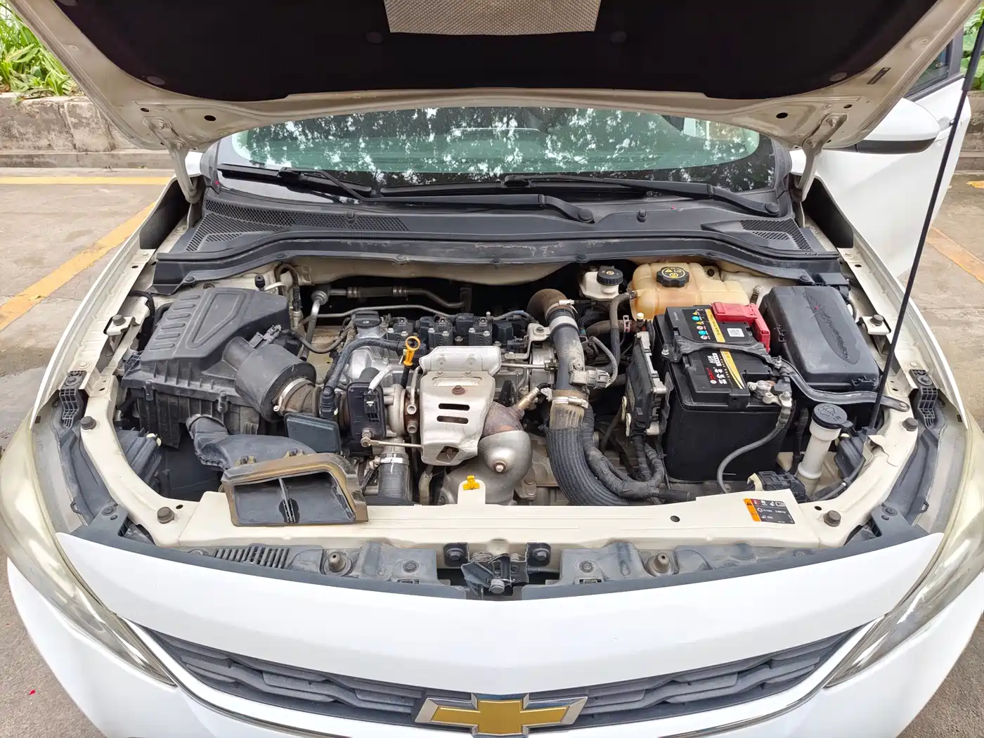 Chevrolet Cavalier 2019 325T Dual-Clutch Joy Edition фото 5