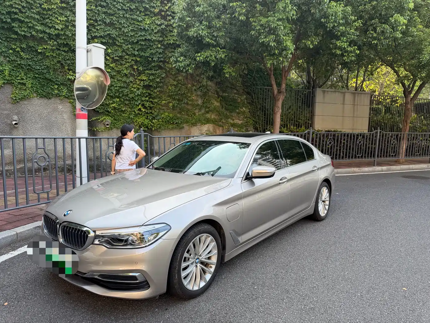 BMW 5 Series New Energy 2020 530Le Pioneer Edition