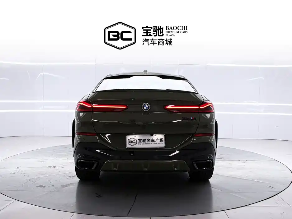 2025 BMW X6