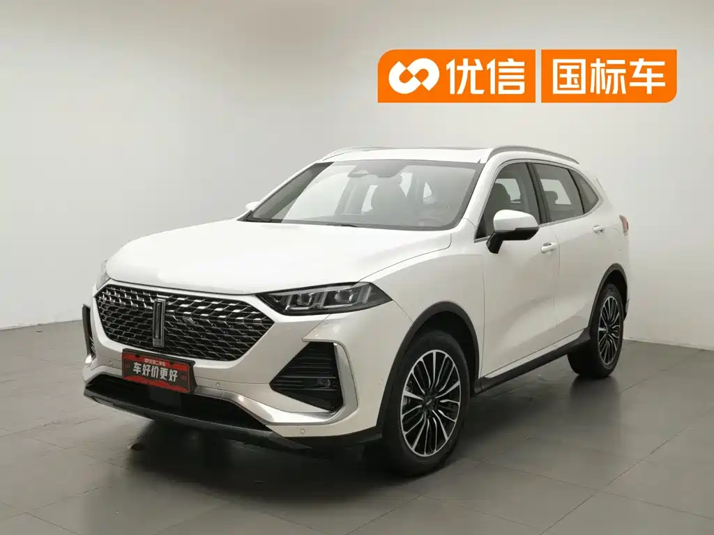 WEY Latte DHT 2022 2022 1.5T DHT Large