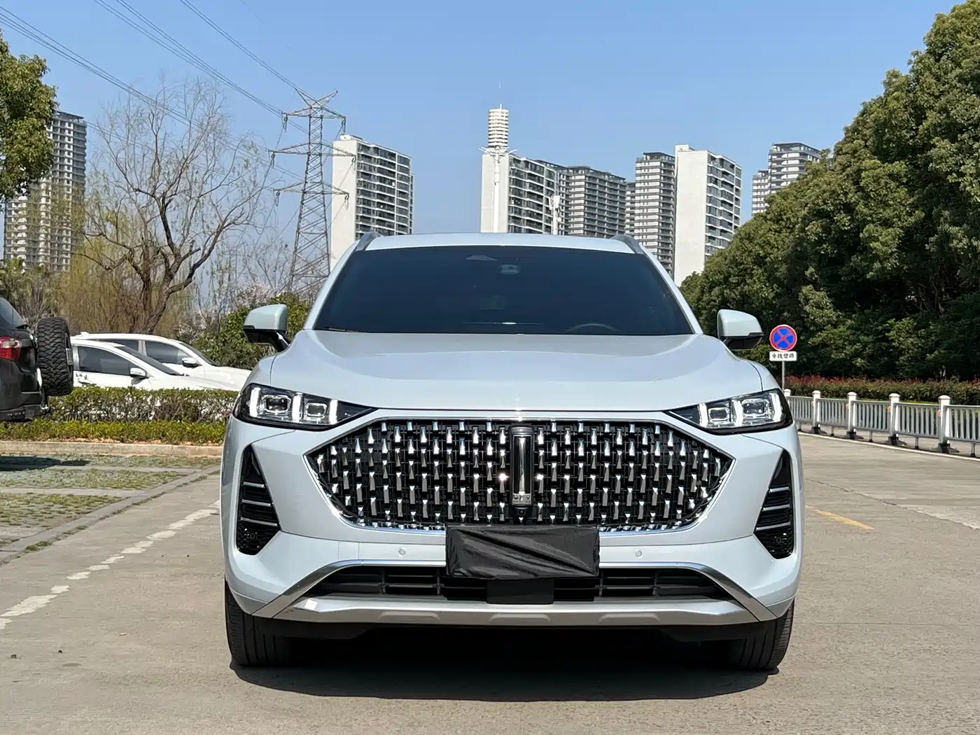 WEI PAI WEI BRAND MOCHA