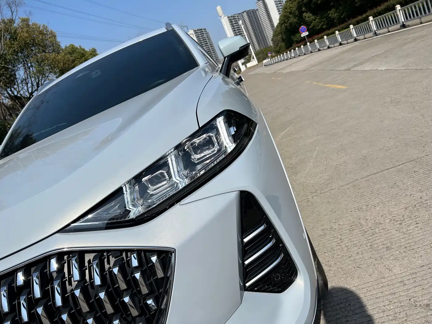 WEI PAI WEI BRAND MOCHA