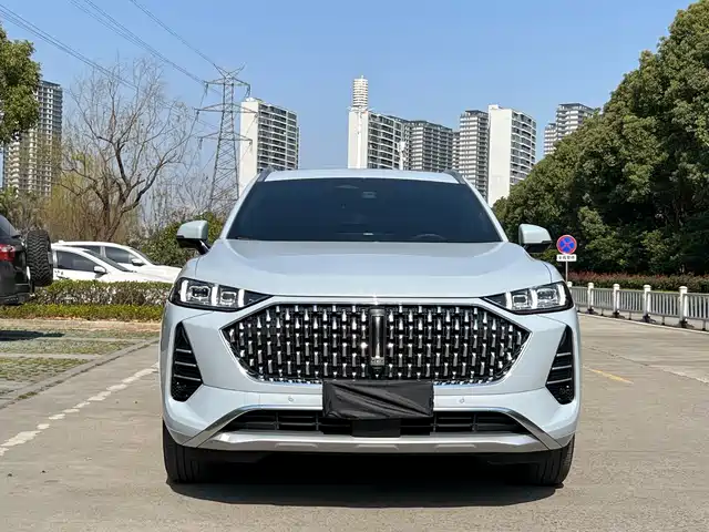 WEI PAI WEI BRAND MOCHA