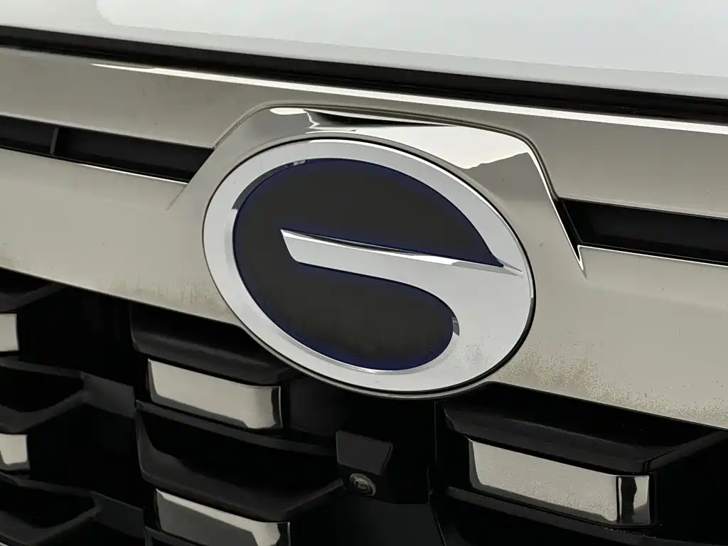 Фото 27 - GAC Trumpchi Trumpchi ES9