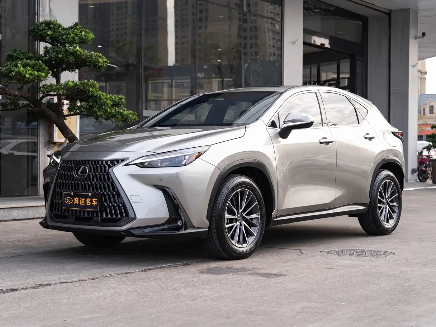 Lexus NX, 2023 год