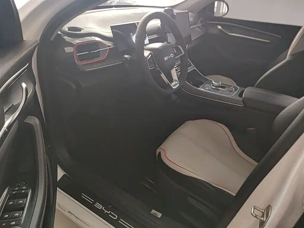 BYD Destroyer 05 2023 Champion Edition DM-i 55KM Luxury фото 16