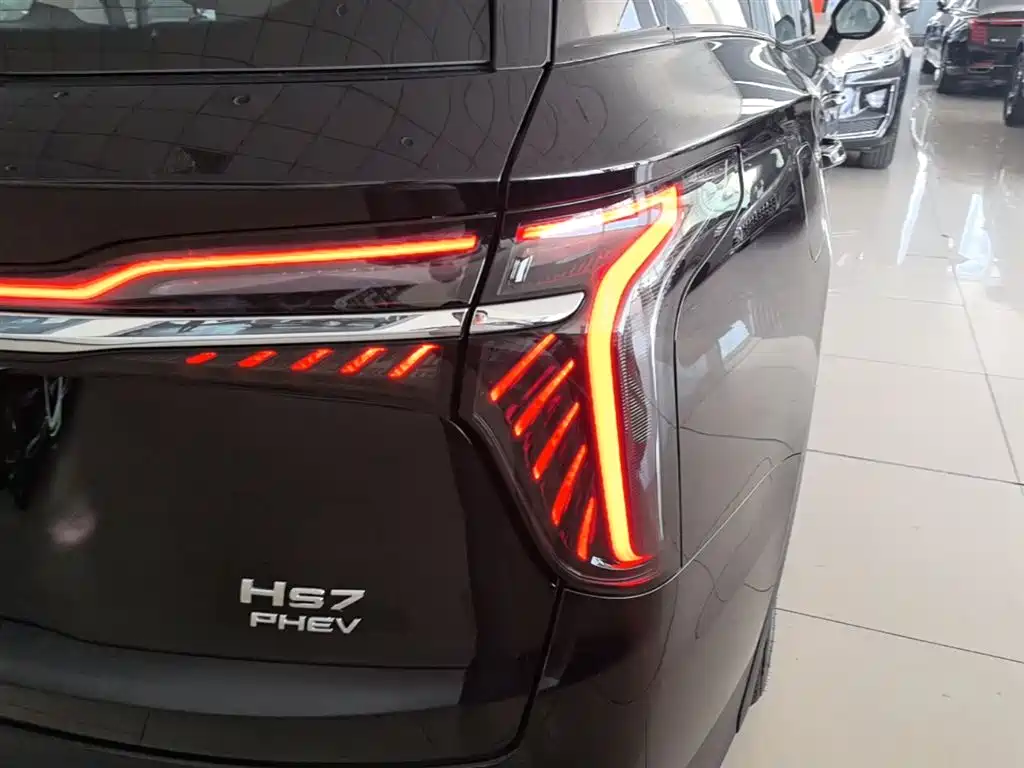 Hongqi HS7 PHEV 2024 2.0T PHEV 4WD Flagship Edition 6-seater фото 8