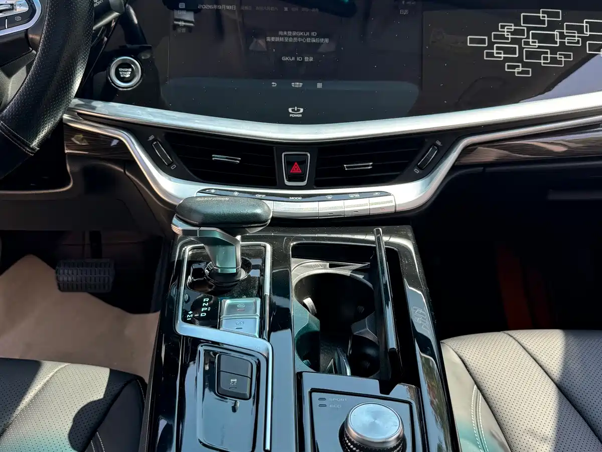 Geely Borui 2022 2021 1.8T Pilot Edition+