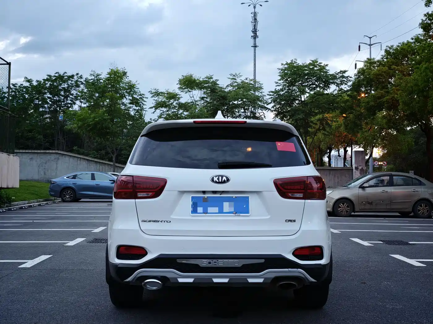 Kia Sorento 2018 Sorento L 2.0T Diesel 2WD Luxury Edition 5-Seater фото 9
