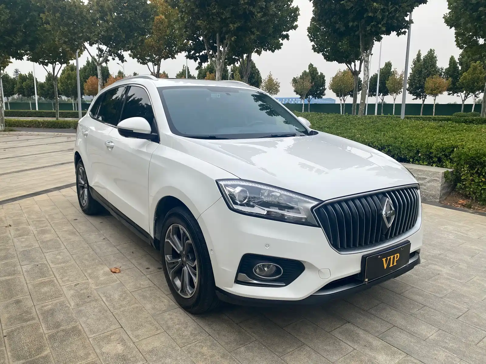 Photo 3 - Borgward BX7