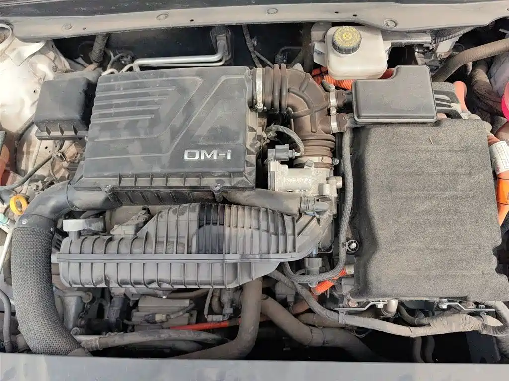 BYD Qin PLUS 2021 DM-i 55KM Flagship фото 17