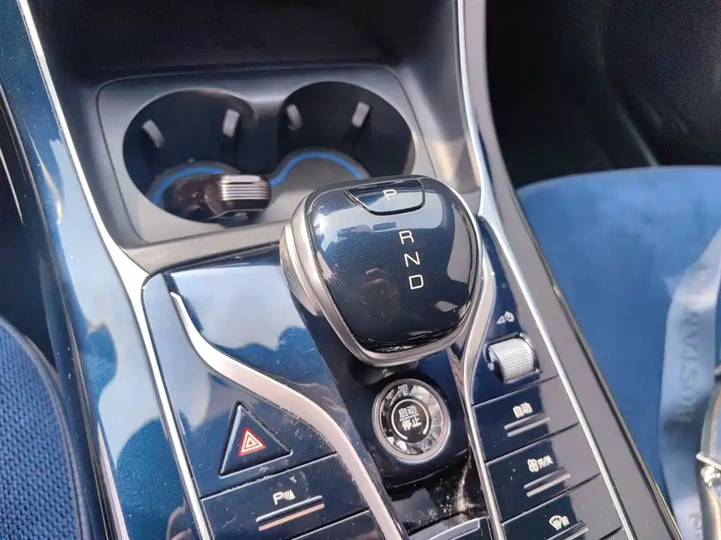 BYD Qin PLUS 2021 DM-i 55KM Flagship фото 11
