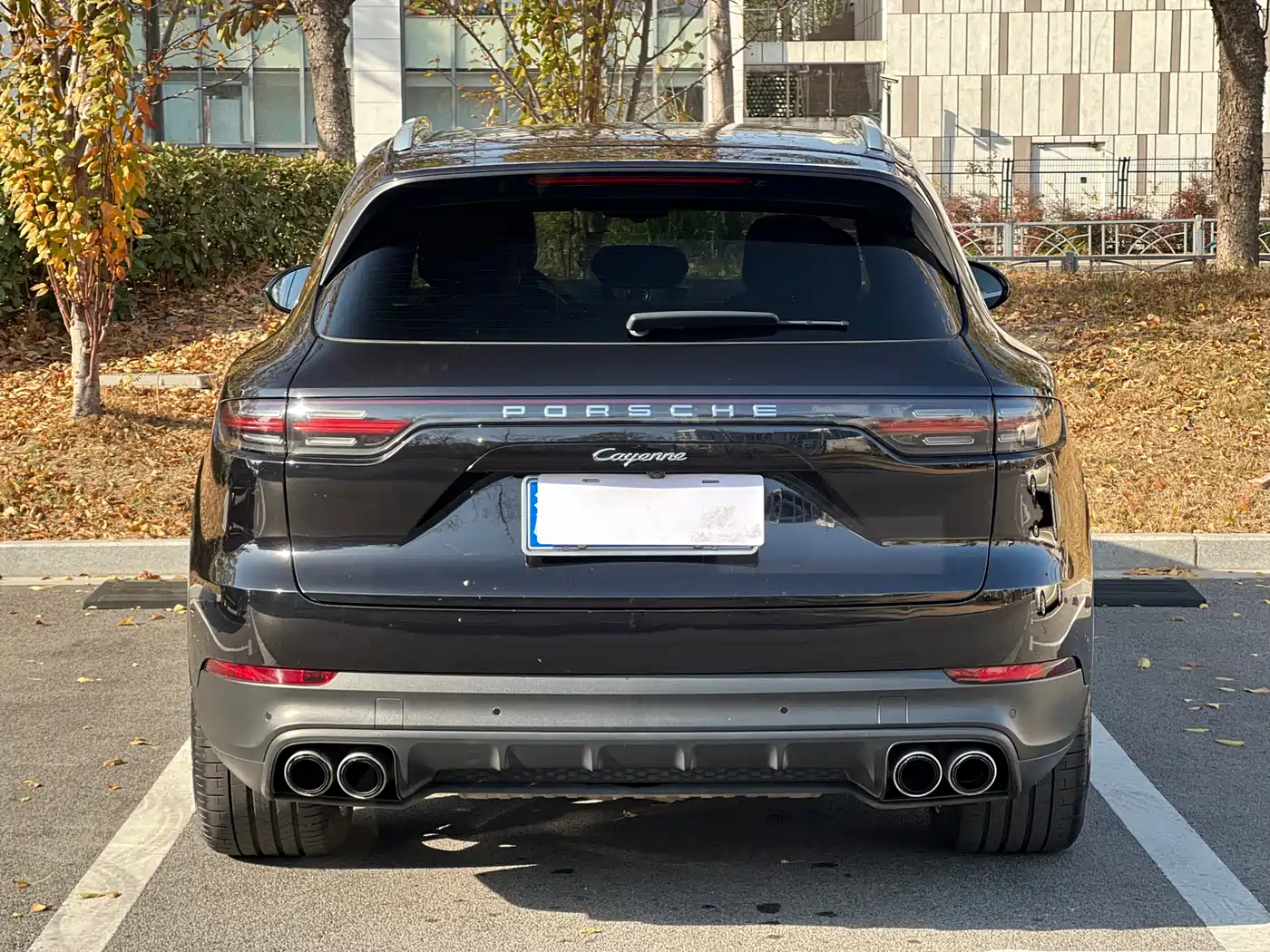 Porsche Cayenne 2022 Cayenne 3.0T Platinum Edition фото 5