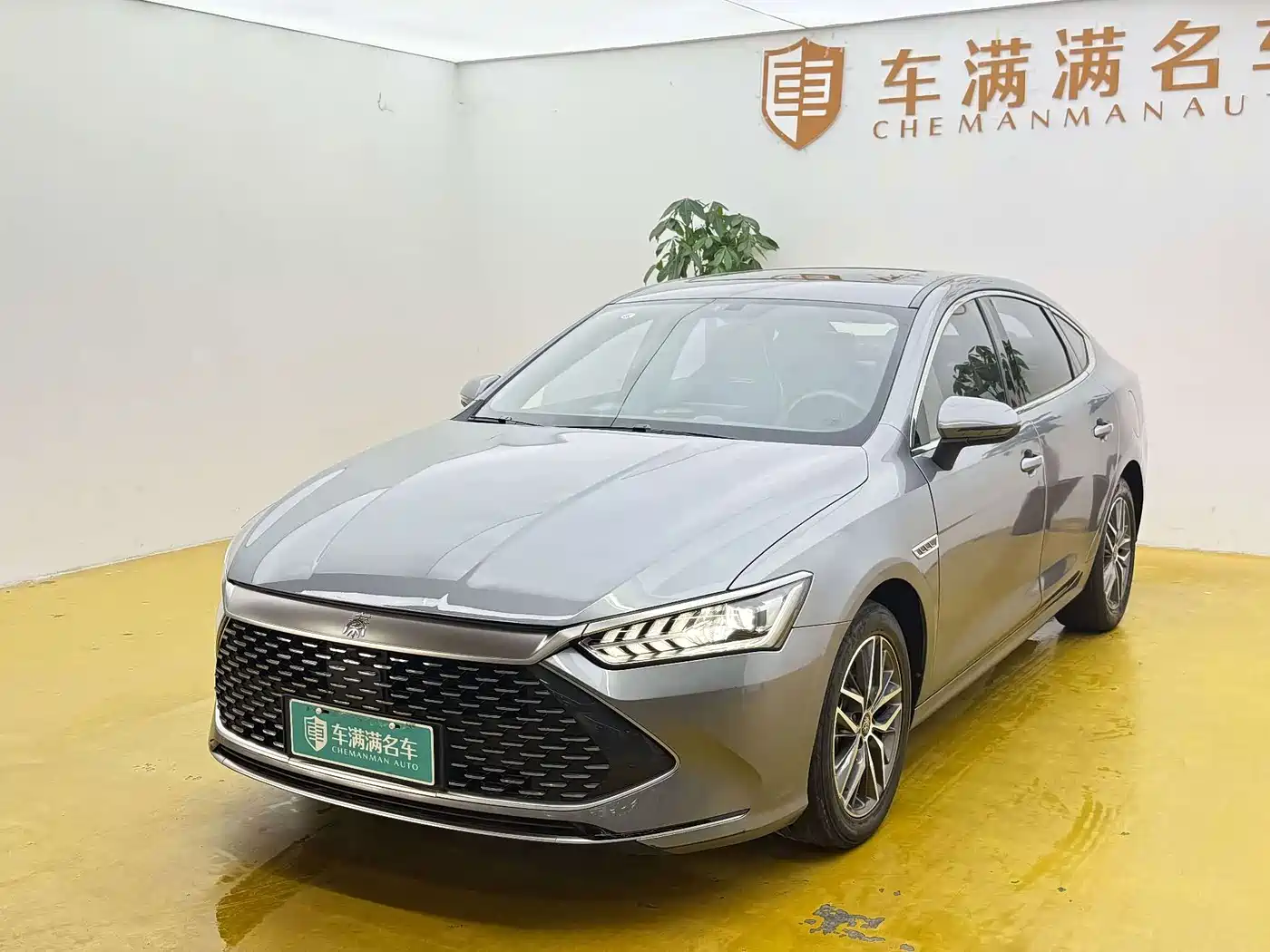 BYD Qin PLUS 2021 2021 DM-i 55KM Flagship
