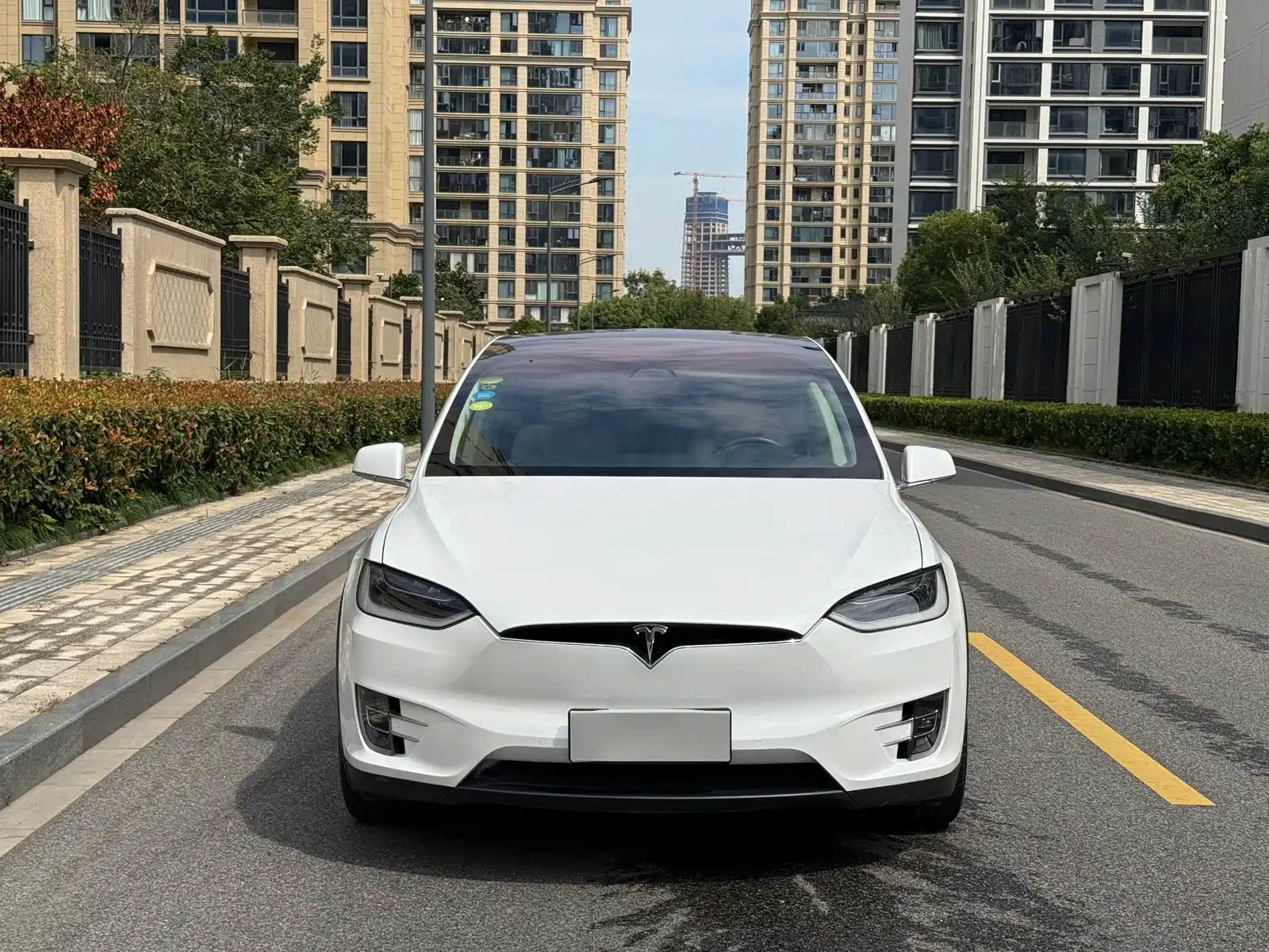 Фото 2 - Tesla Model X