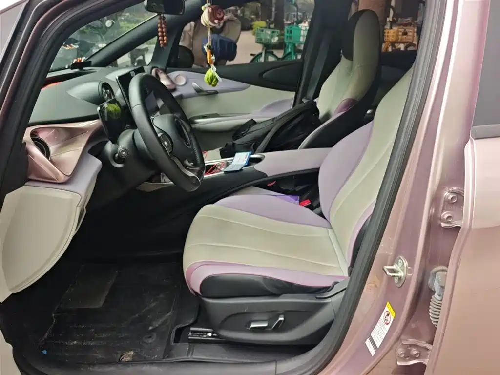 BYD Dolphin 2021 Model 405km Fashion Edition фото 11