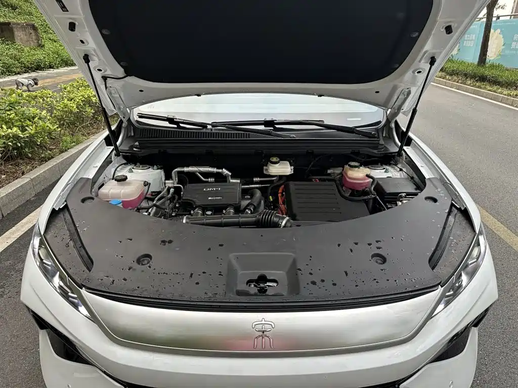 BYD Song Pro New Energy 2025 2nd Generation Smart Drive Edition DM-i 115KM Surpassing Type фото 10