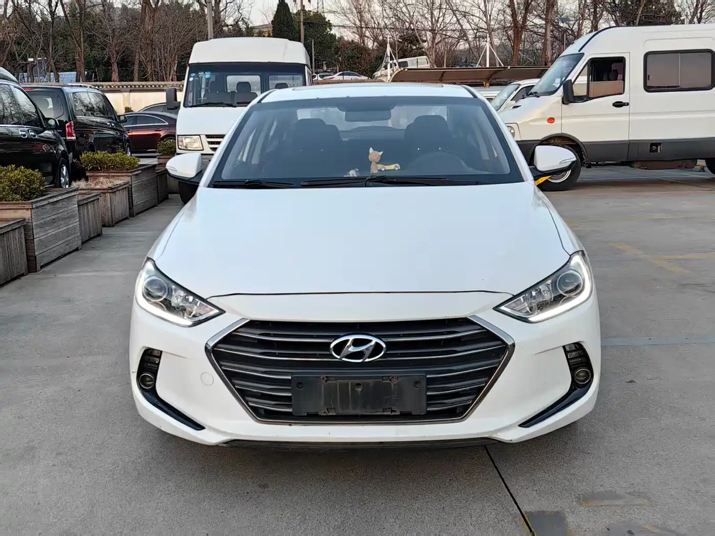 HYUNDAI LEAD