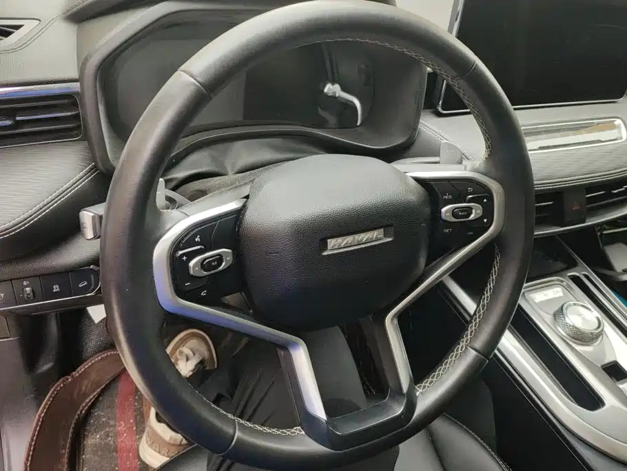Haval First Love 2021 2021 1.5T Automatic Premium Edition