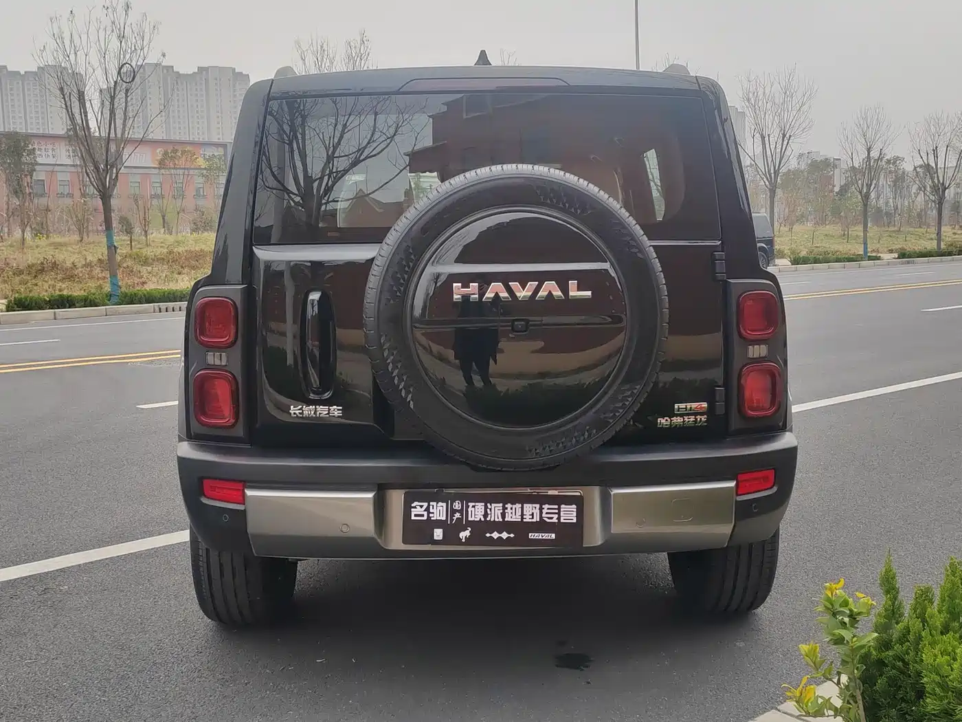 HAVAL RAPTORS NEW ENERGY